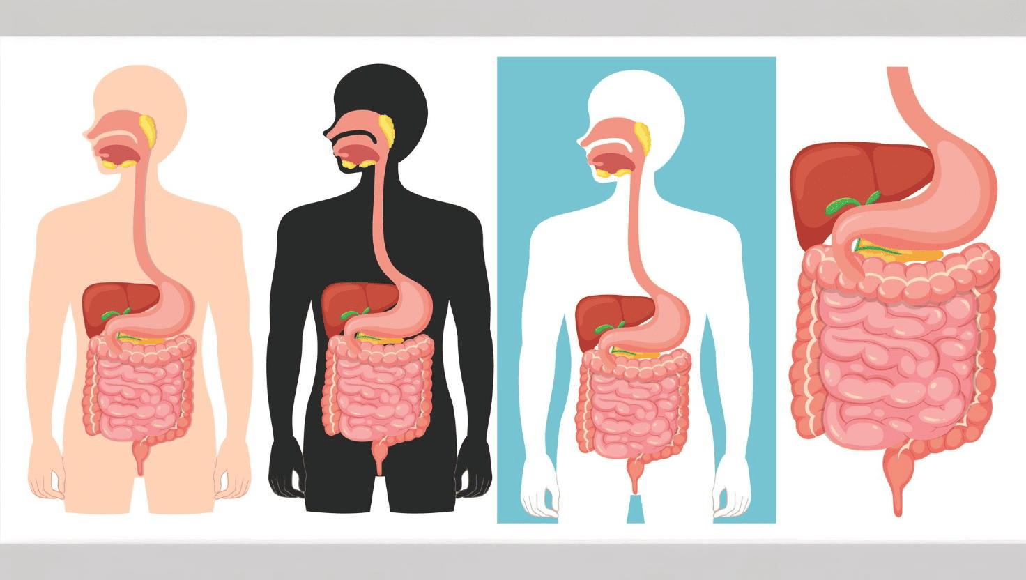 Banner blog: 10 alimentos que deixam a digestão lenta